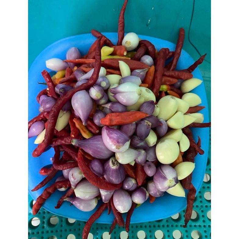 

Promo Bulan Ini Cabe Rawit Ori Probolinggo 1Kg