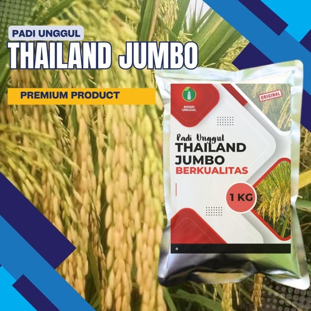 Padi Unggul Thailand Jumbo 1 Kg - 5 Kg Premium Benih Padi Thailand Jumbo  Kemasan 5 Kg
