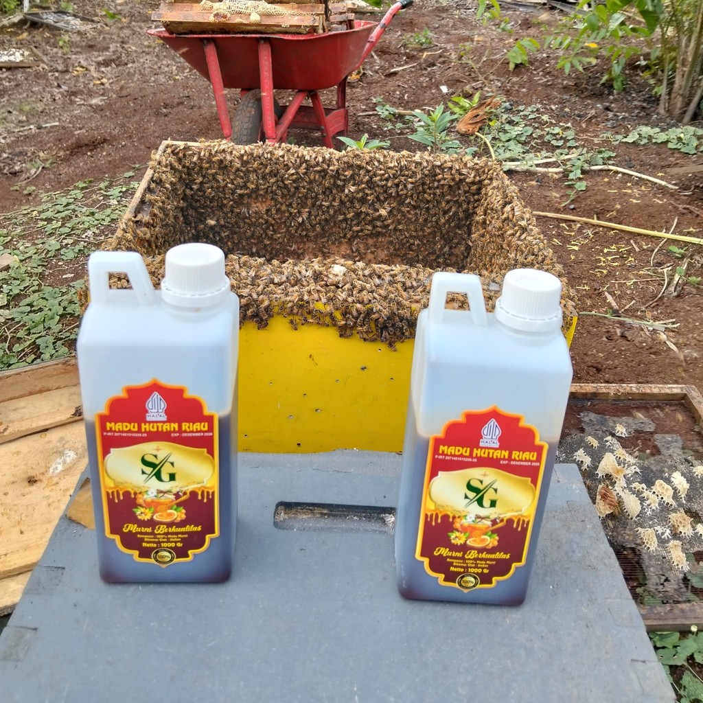 

Madu SG - Madu Murni Asli Nektar Akasia 1000gram Grade A 100% Alami Pure Raw Honey