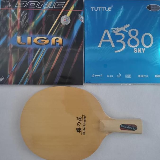 Bat tenis meja pen holder B 2015 Full Hinoki plus karet serang Set