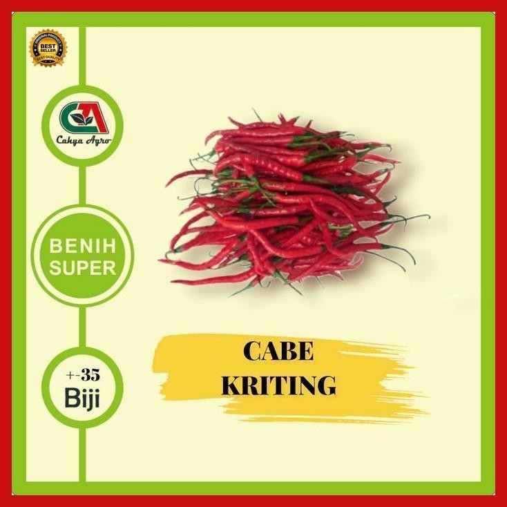 

(Terbaru) 35 Biji Benih Cabe Merah Keriting Cabai Keriting Bestseller