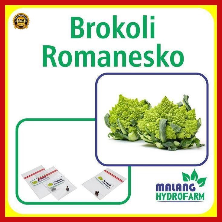 

(Terbaru) Benih Brokoli Romanesko Unggulan Berkualitas Bibit Biji Repack Sayuran Sayur Romanesco Bunga Kol Romawi Unik Hydroponik Hidroponik Bestseller