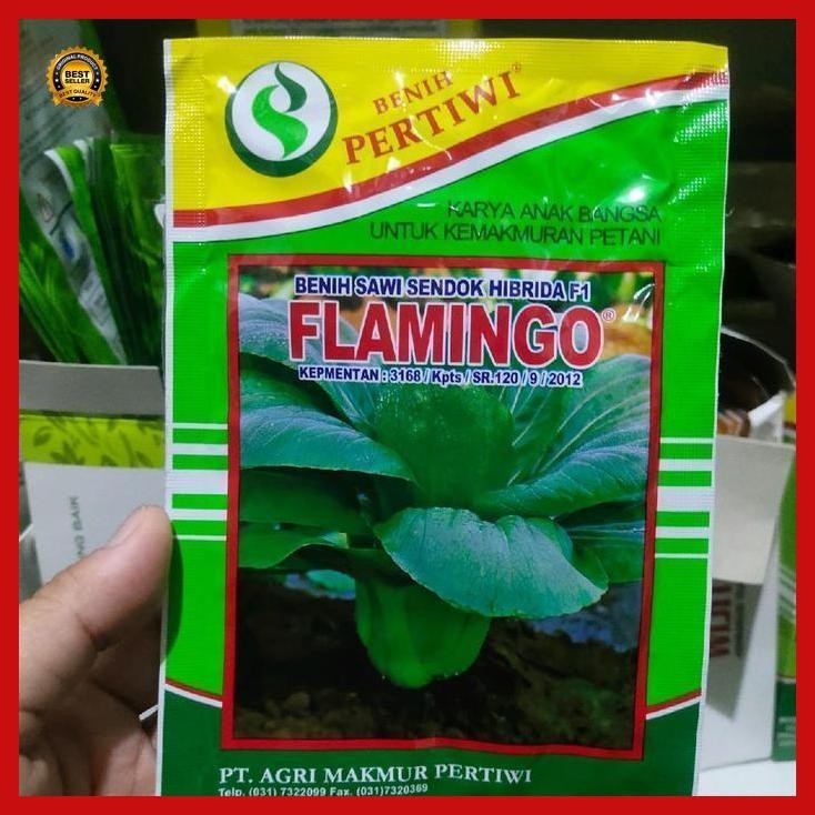 (Ready) Benih Sawi Sendok Flamingo F1 10 Gram Sawi Daging Pakcoy Hibrida Dari Benih Pertiwi Sawi Fla