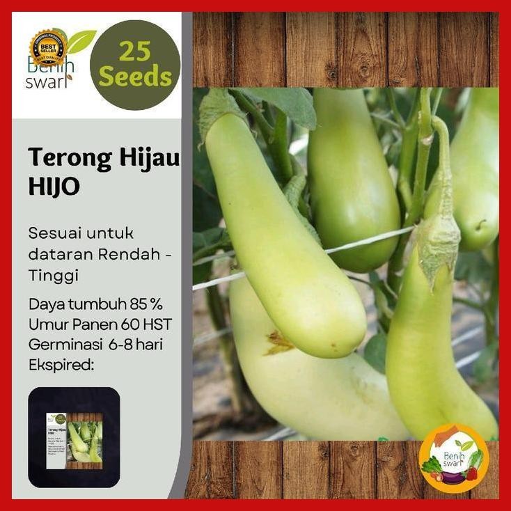 (Termurah) Isi 25 Butir Benih Terong Hijau Tipe Kopek Terong Hijo Bestseller