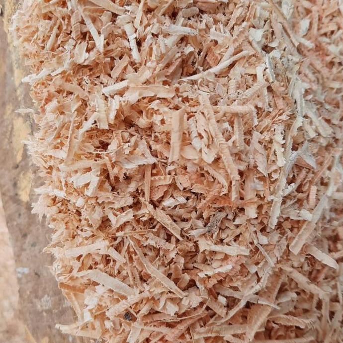 

Jamu Serut Kayu Kesehatan Pria Wanita Kualitas Terbaik Harga Termurah