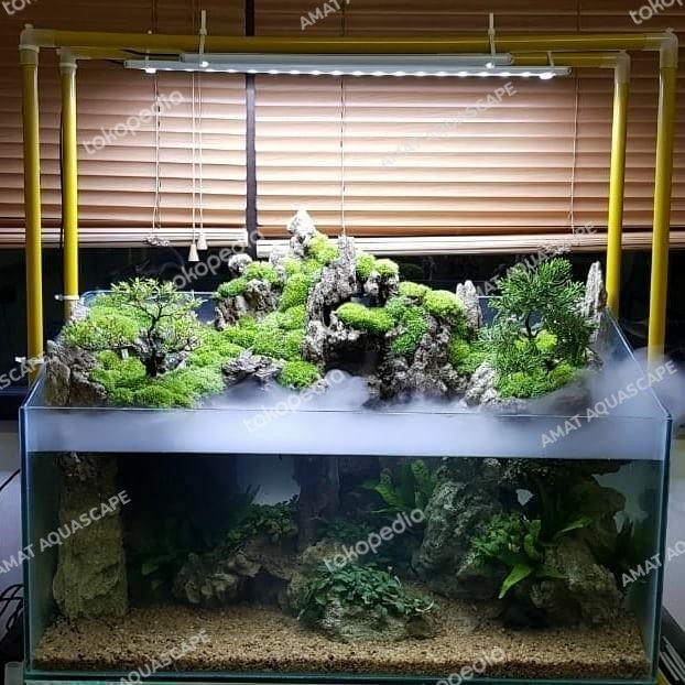 RA MOSS MUTIARA PEARL | MOSS DARAT PALUDARIUM TERRARIUM VIVARIUM MURAH
