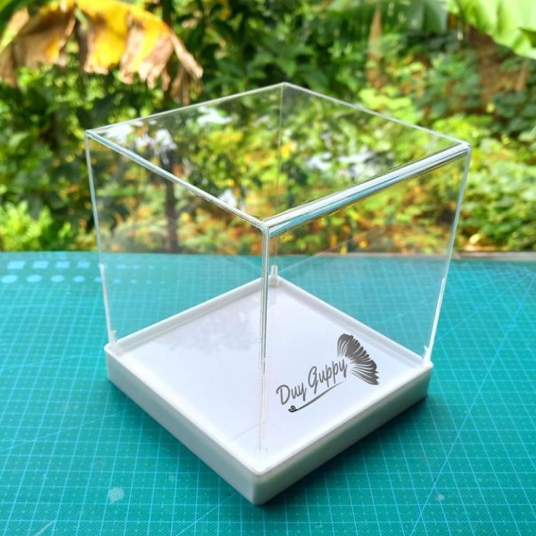 

Bf888S Box Display/Kotak Mahar Akrilik, Base Putih Ew-98