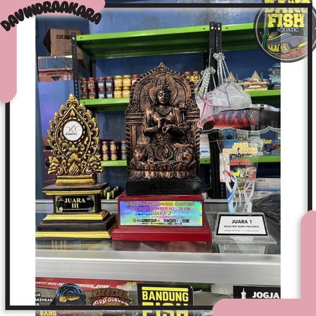 Grosir PELET ANDALAN Mr. fish bukan BANG FISH  AQUATIC 60gram UNTUK PROGRES BUNGA CHANNA MARU