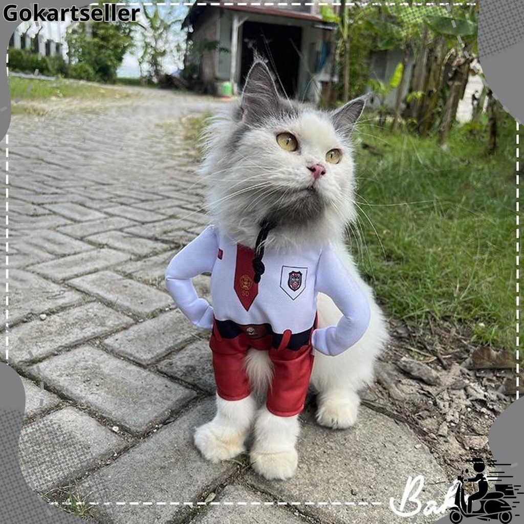 Original [ ] Kostum Anak Sekolah untuk kucing Baju Berdiri anak SD / Kostum kucing size S-XL