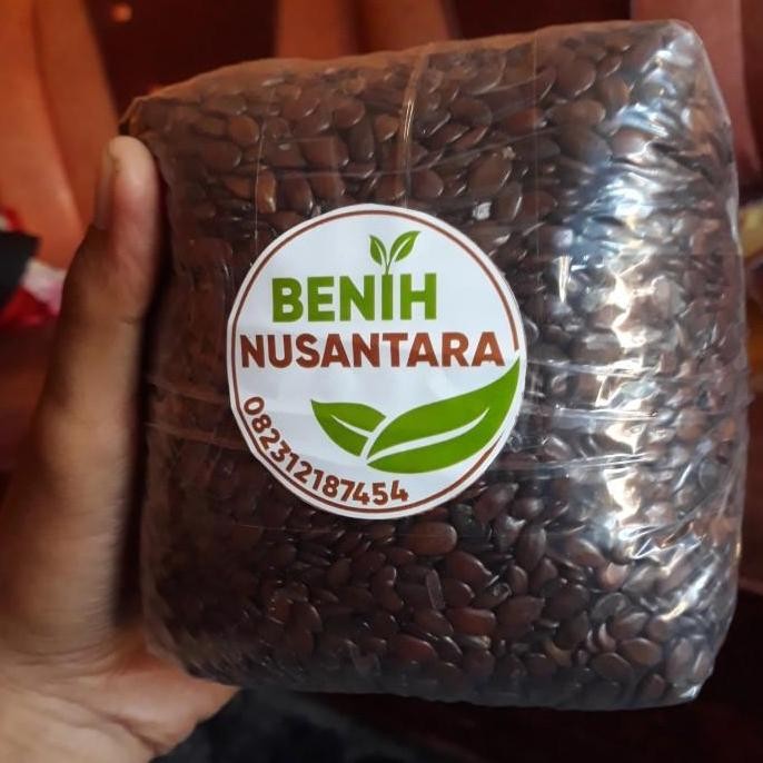 

(Good) BIJI LAMTORO PETAI CINA 1KG BERSIH KERING