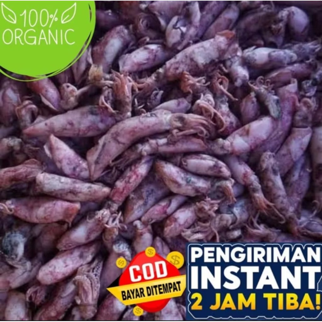 

Cumi babyi Asin Kering 1kg Super PROMO Murah