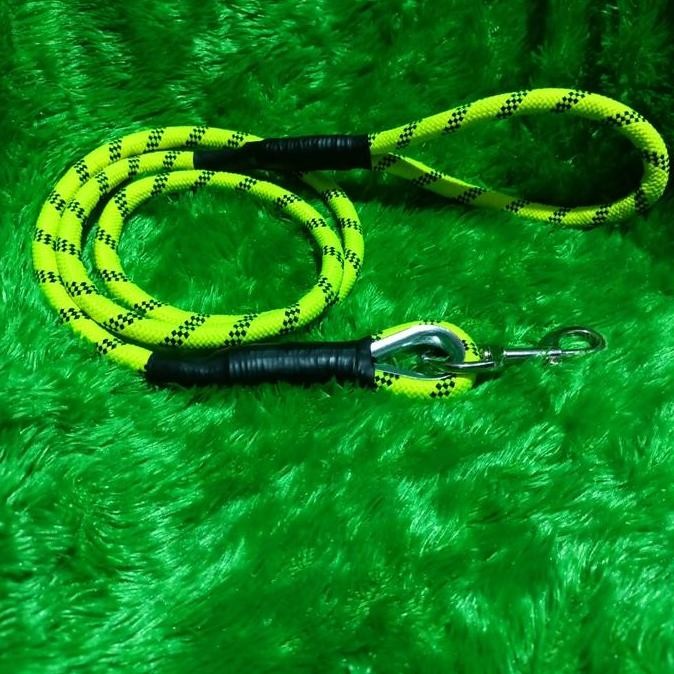 tali anjing besar ,tali anjing pemburu Peliharaan