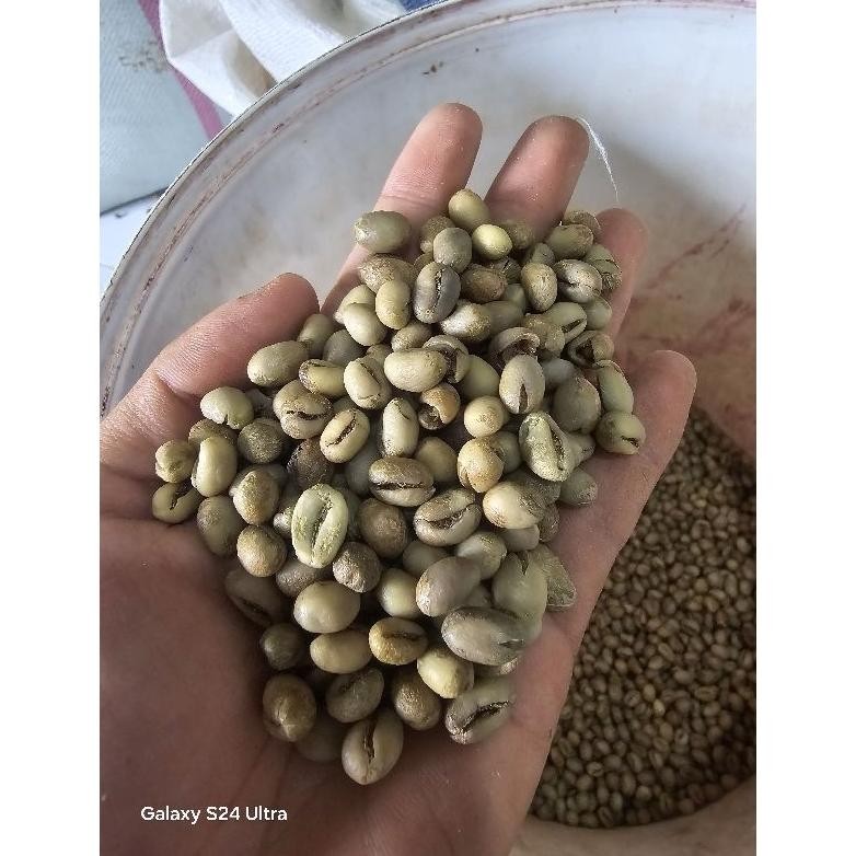 

relaydasbord - greenbean peaberry robusta 1kg - biji kopi robusta premium