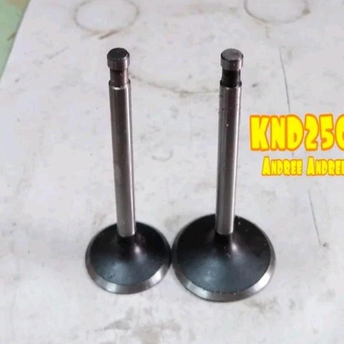 ] Valve In Ex Klep Api Minyak Kubota KND250 KND-250 ER250 ER-250 Taiwan
