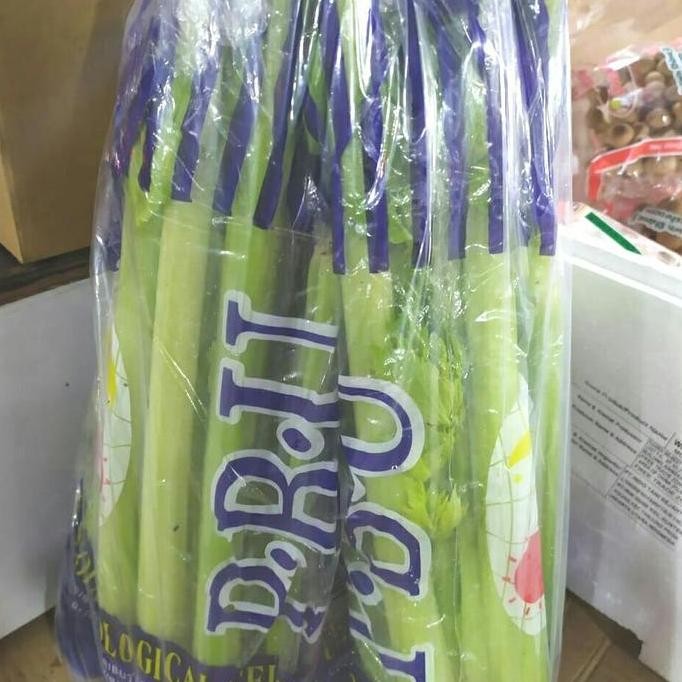 

New Seledri stik/batang