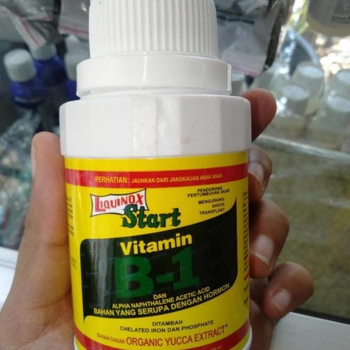 Pupuk Cair Liquinox Start Vitamin B1 Tanaman