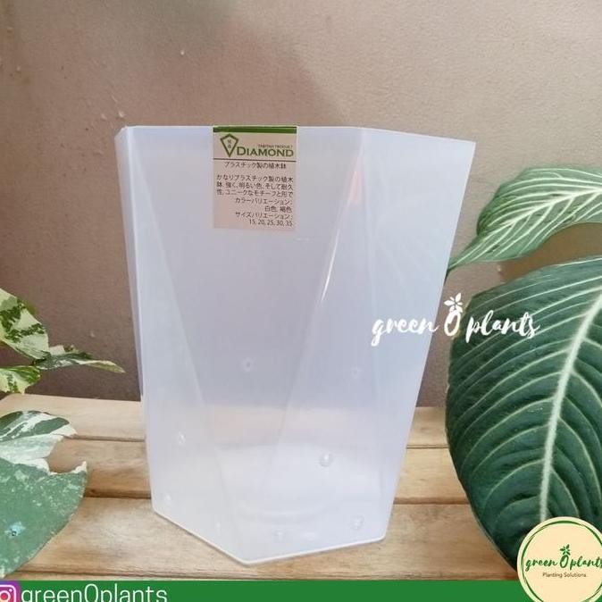 Pot Tabitha Diamond 25 Bening Berlubang