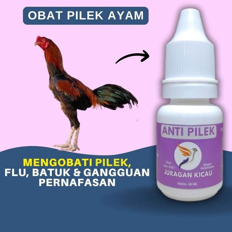 Obat Ayam Pilek Flu Batuk Infeksi Tenggorokan Dan Gangguan Pernafasan