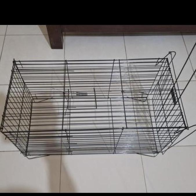 ___] Jebakan Perangkap Kucing Jebakan Perangkap Musang