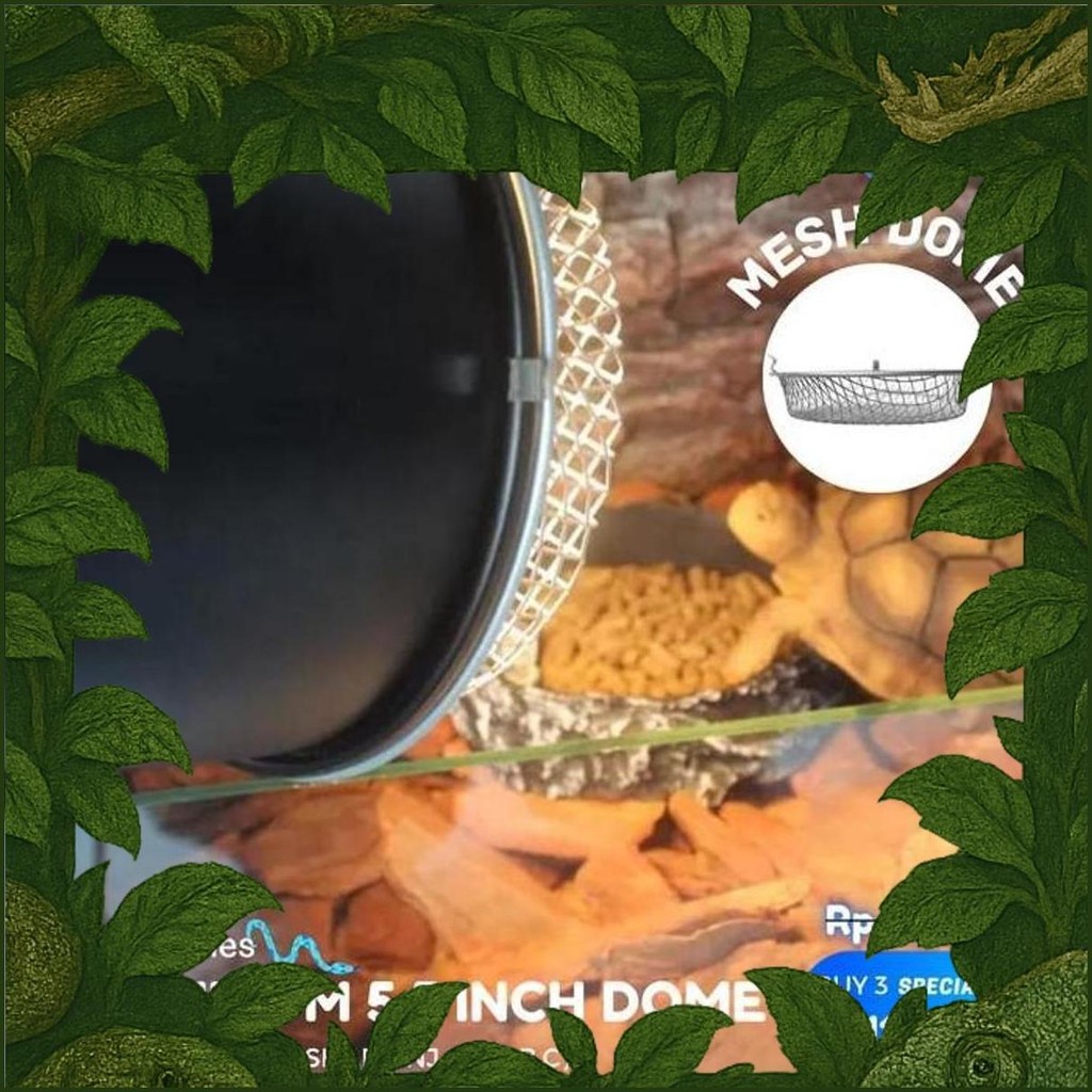 Aluminium Dome 5.5" Fitting Ceramic Gantung Lampu Reptil Sulcata Kura