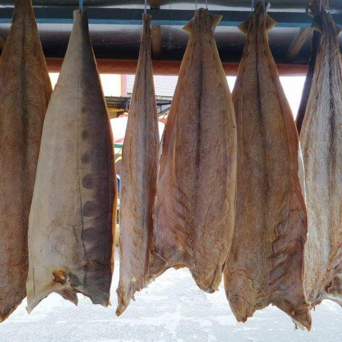 ikan jambal Pontianak 1 ekor / Yen Pou / Jan phu