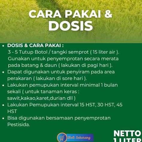Berkualitas 1 LITER Pupuk Padi Pupuk Cair Pelebat Padi Pupuk Organik Padi Pupuk Memperbanyak Anakkan