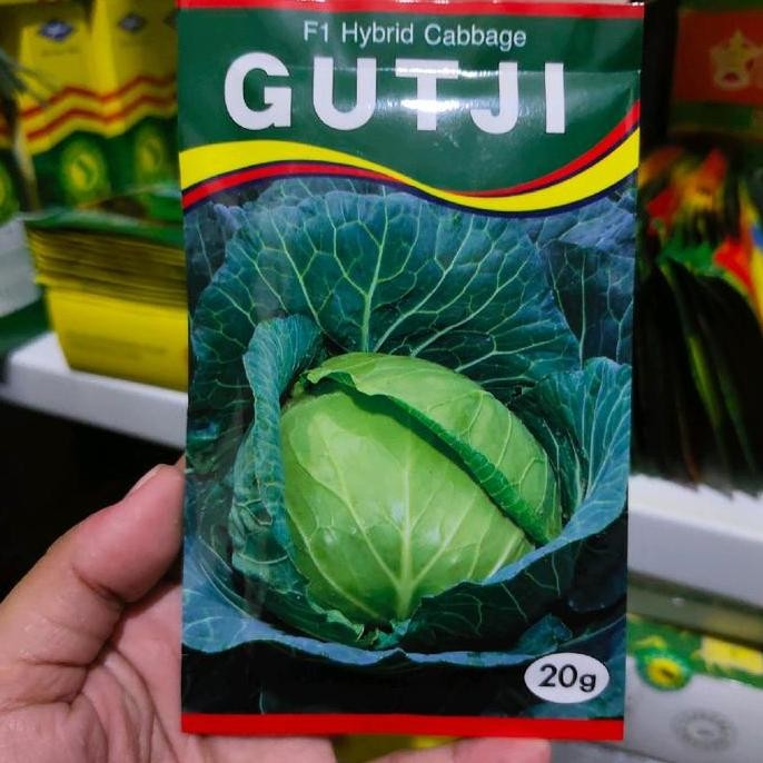 Promo Benih kubis GUTJI F1 20 gram kol hibrida gutji dari AMS COD
