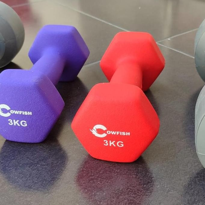 BARBEL BESI BARBEL VYNIL BARBEL NEOPRENE 1-5KG DUMBEL BESI 1-5KG