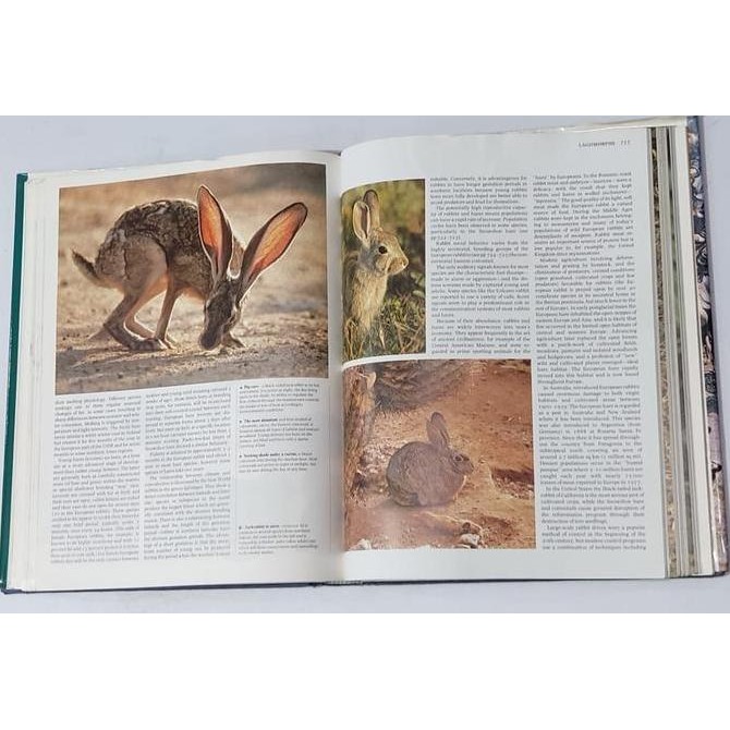 Buku THE ENCYCLOPEDIA OF MAMMALS : 2 Original