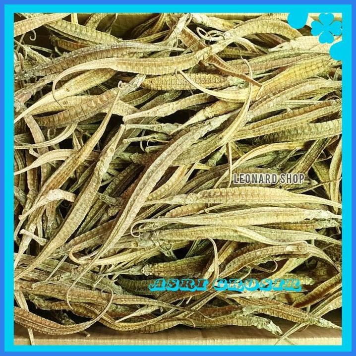 NAGA LAUT 50GR KERING SUPER HAI LONG / OBAT HERBAL KUAT PRIA KUDA LAUT BEST PRODUK