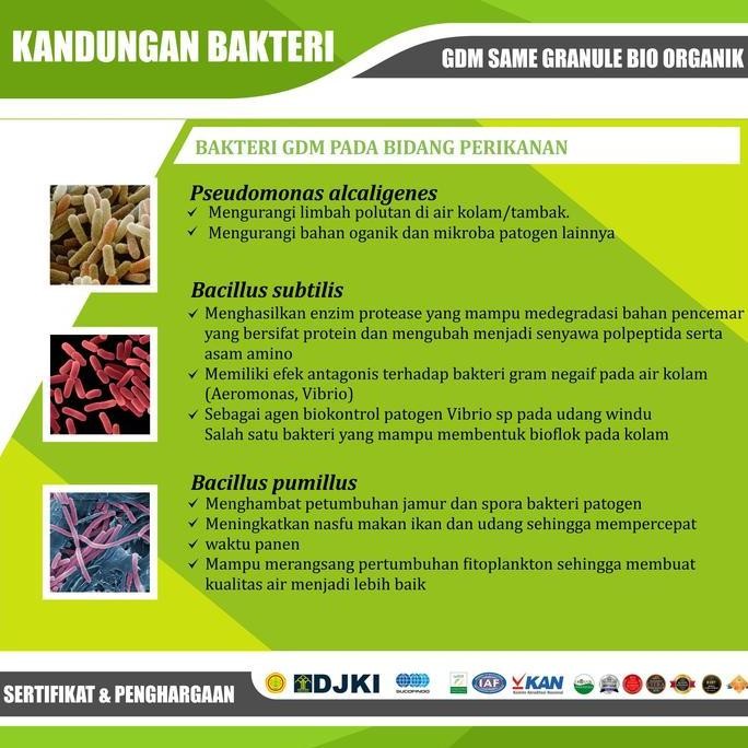Granule Bio Organik GDM SAME Pupuk Padat Tanaman 1kg