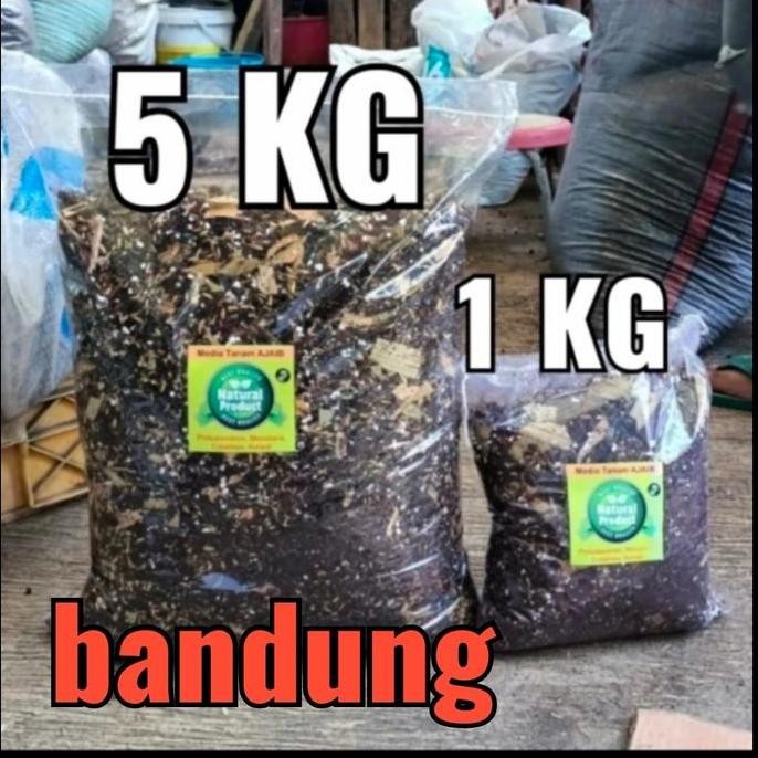 Media tanam ajaib 5 kg, metan aglonema, metan varigata, metan premium