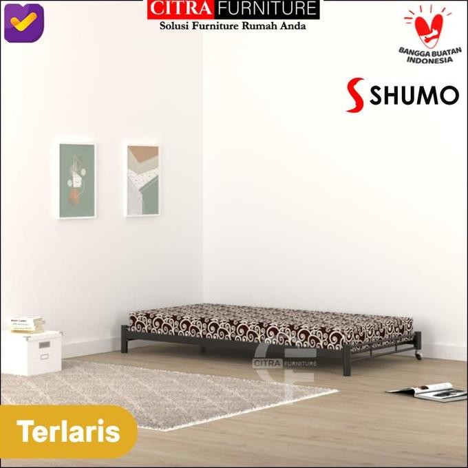 Ranjang Besi sorong minimalis 90 x190| Dipan Rangka Tempat Tidur Besi