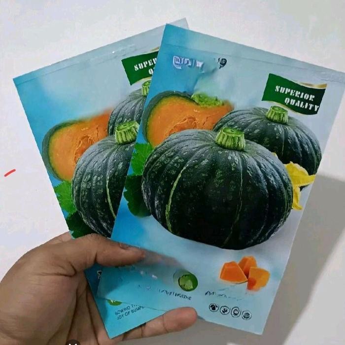benih labu madu pulen kabocha
