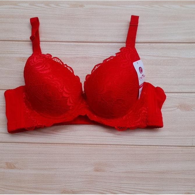 *Chelyne 2962* Bra Busa Tebal Pakai Kawat Kait 3* Size 36.38.40B Bh Wanita