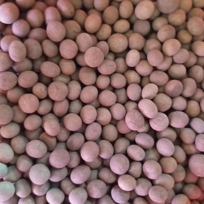 Promo Bibit tanama pohon biji kemenyan 1 kg COD