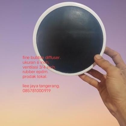 fine bubble diffuser