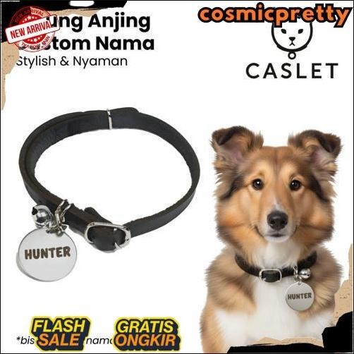 Termurah Kalung Anjing  Custom Nama Liontin Metal Kulit Premium