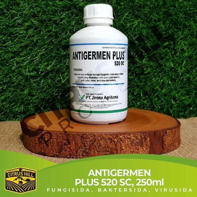 ANTIGERMEN PLUS 520 SC Fungisida Bakterisida Virusida