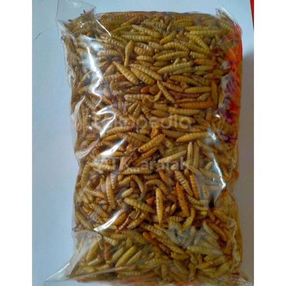 Manggot Bsf Manggot Kering Pakan Ikan Predator Louhan Channa Arwana
