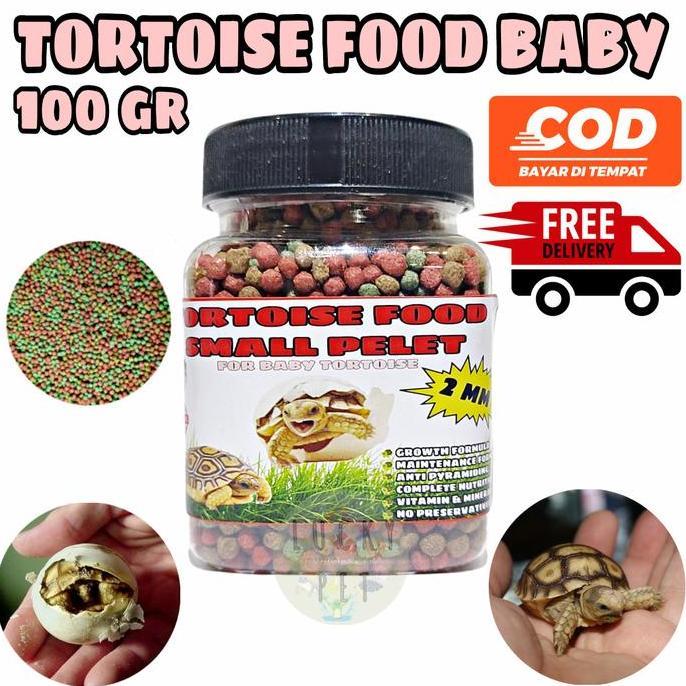 Deepanim- Makanan Kura Kura Darat Baby Anak Anakan Sulcata Sulkata Torto Pelet