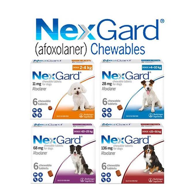 NEXGARD DOG OBAT KUTU ANJING DEMODEX SCABIES NEXGARD CHEWABLES