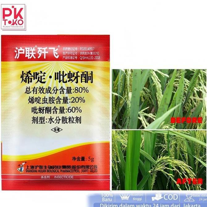 INSEKTISIDA WERENG PADI 5GRAM IMPORT ACETAMIPRID PIMETROZIN 80% AMPUH KUTU DAUN