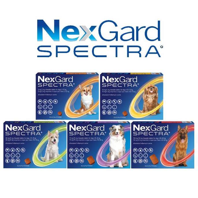 TERBARU - Nexgard Dog Obat Kutu Anjing Nexgard Dog Obat Demodex Anjing