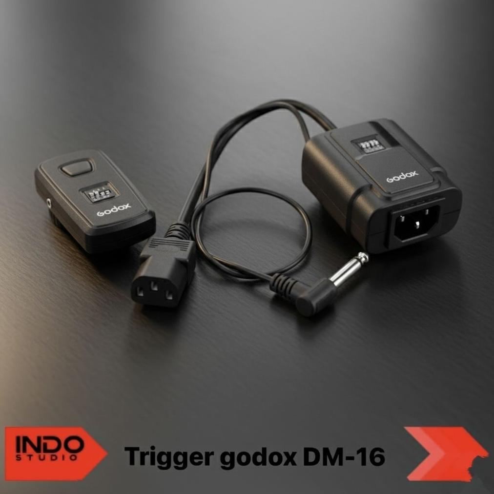 Godox trigger DM16 flash trigger wireless DM-16