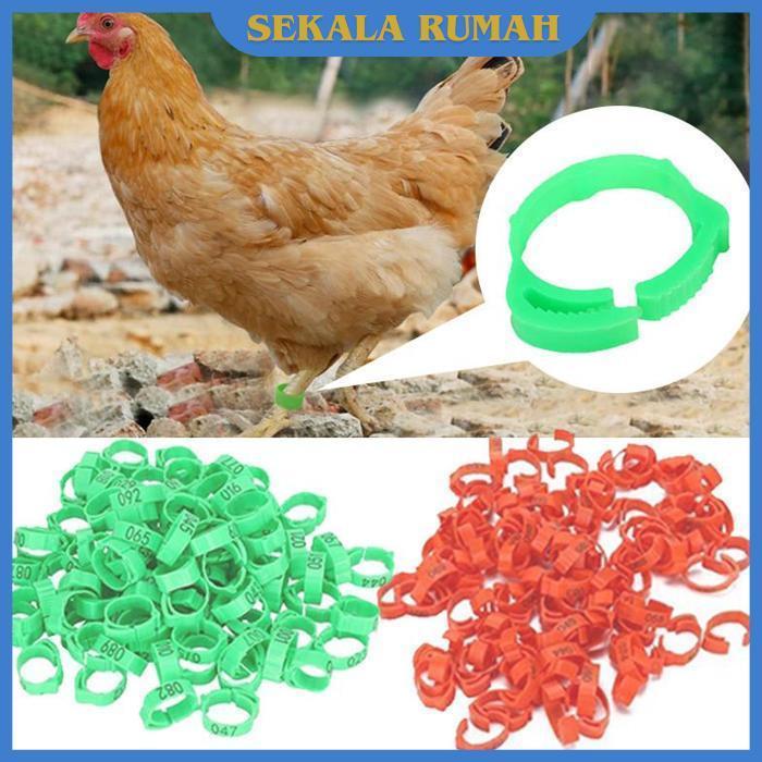Ready Stok 50pcs Cincin Kaki Ayam Cincin Kaki Ayam Bangkok Ring Ayam Bangkok Gelang Penanda Ayam Gel
