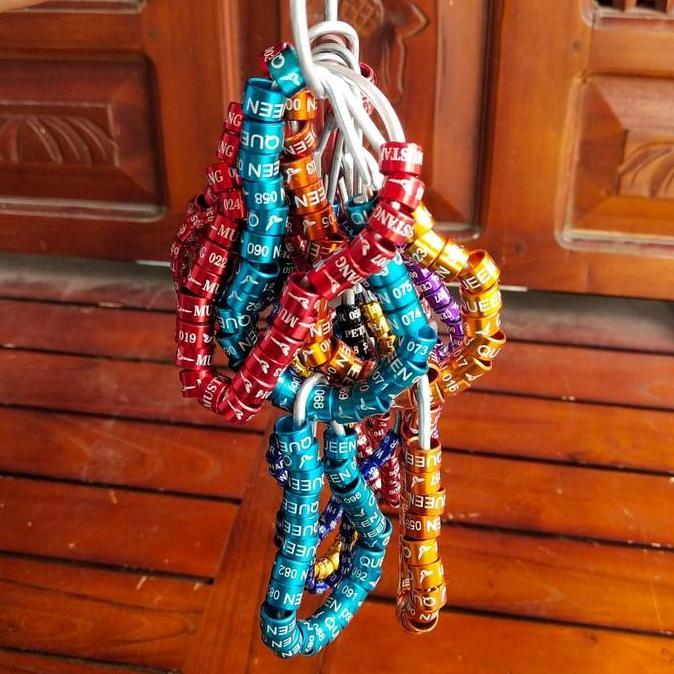 Cincin Burung | Merpati / Dara | Kenari | Lovebird | Aksesoris Burung