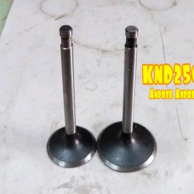 >*>*>*>*] Valve In Ex Klep Api Minyak Kubota KND250 KND-250 ER250 ER-250 Taiwan