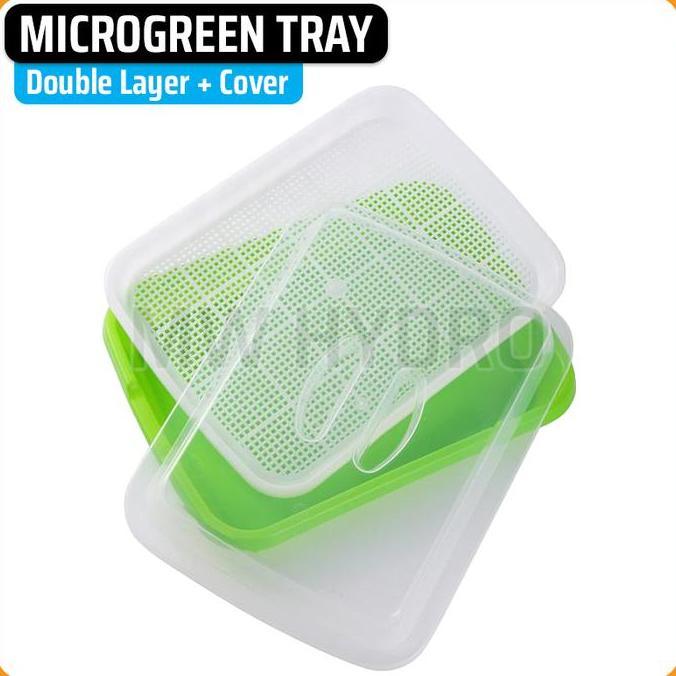 Harve- Microgreen Sprouting Tray With Cover - Tray Semai Microgreen Dengan Tutup