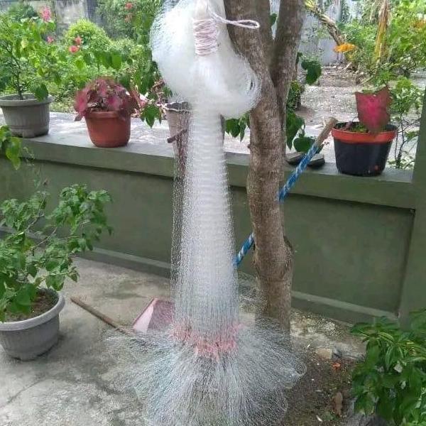 HARGA DISC - Jala ikan wader senar 3m